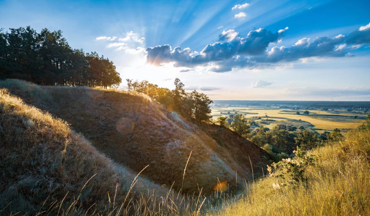 Duża skuteczność w tym jak obliczyć ślad węglowy w firmie