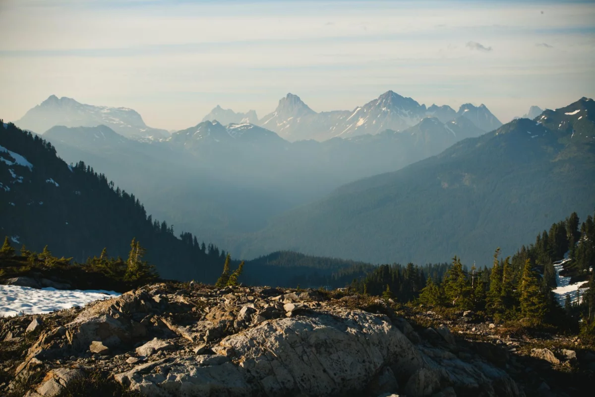  Here are 3 Reasons Why You Should Think About It chauffeur 