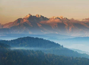  Why is it worth to rent a limousine in london? 