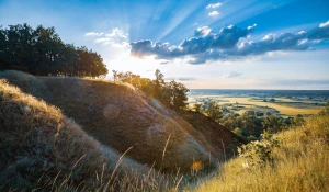 Jak  robić tanie pozycjonowanie i czy 2021 będzie inny?