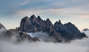 Jak  gotować wegańsko na sto procent!