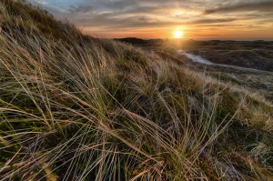 Z wizytą u dentysty. Krótko o stomatologii