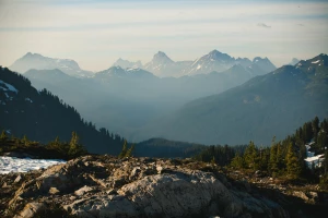 Wspaniały sposób na to jak kupić para cord